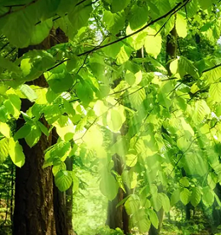 不动声色的善良，你get到了吗？-铁岭小学三年十三班