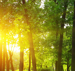 善意的绰号传递爱 - 广东省佛山市顺德区乐从镇东平小学