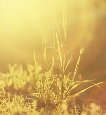 我为自由画个圈，有人管束心里甜 佛山市顺德区乐从镇东平小学