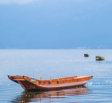 生命因我而精彩